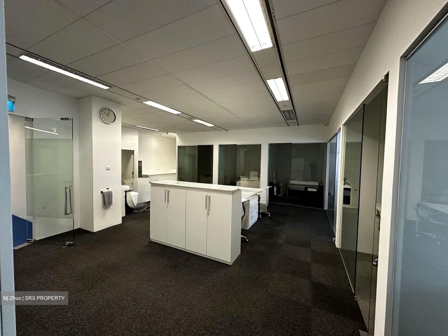 51 Cuppage Road (D9), Office #540476881